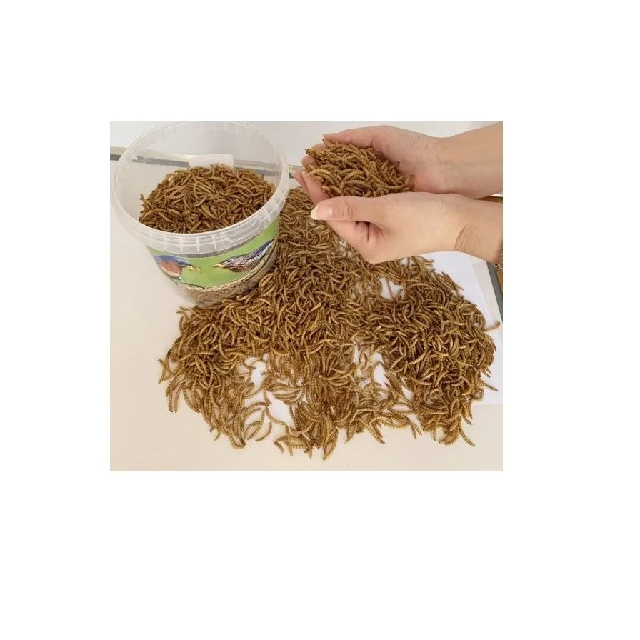 Natural material popular pet food dried mealworms protein