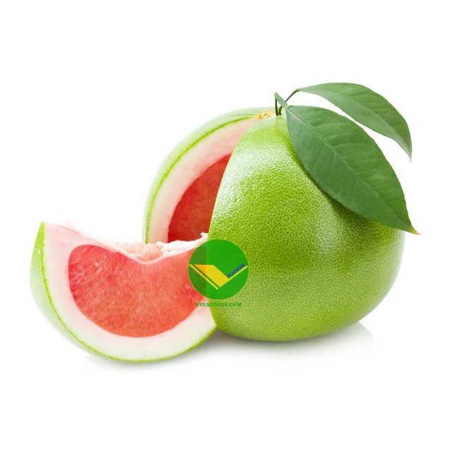 Exclusive Import Offer and Import with Confidence Fresh Pomelo Best Prices from Viet Nam for importer