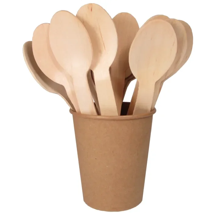 Wholesale Disposable Wooden Spoon OEM Custom Packaging Eco-Friendly Wooden Disposable Cutlery for Picnic Vietnam Manufacturer