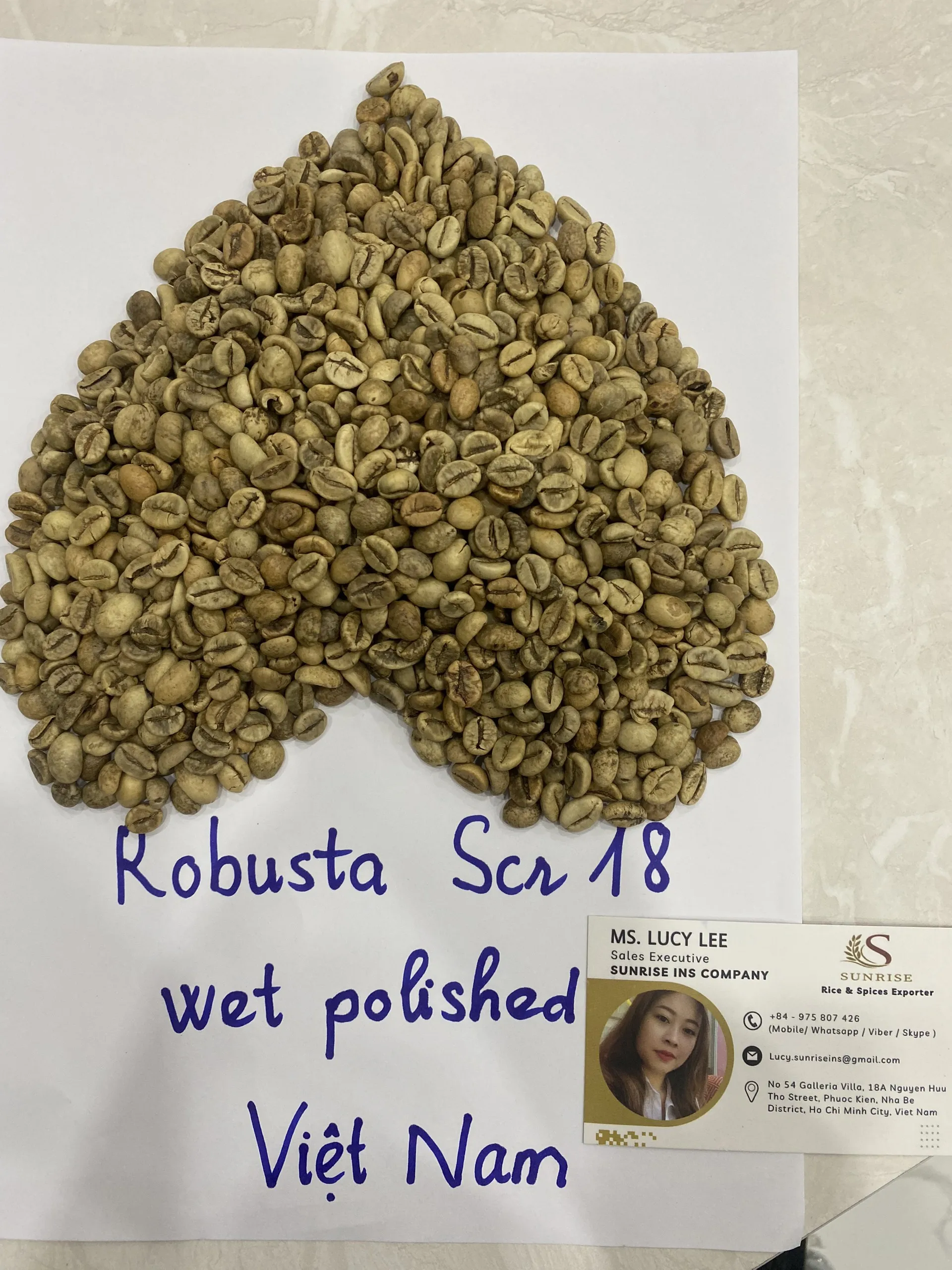 Manufacture Wholesale Dried Natural Robusta Green Coffee Beans Vietnam  on sale 2023 Whatsapp:+84-975807426 Lucy