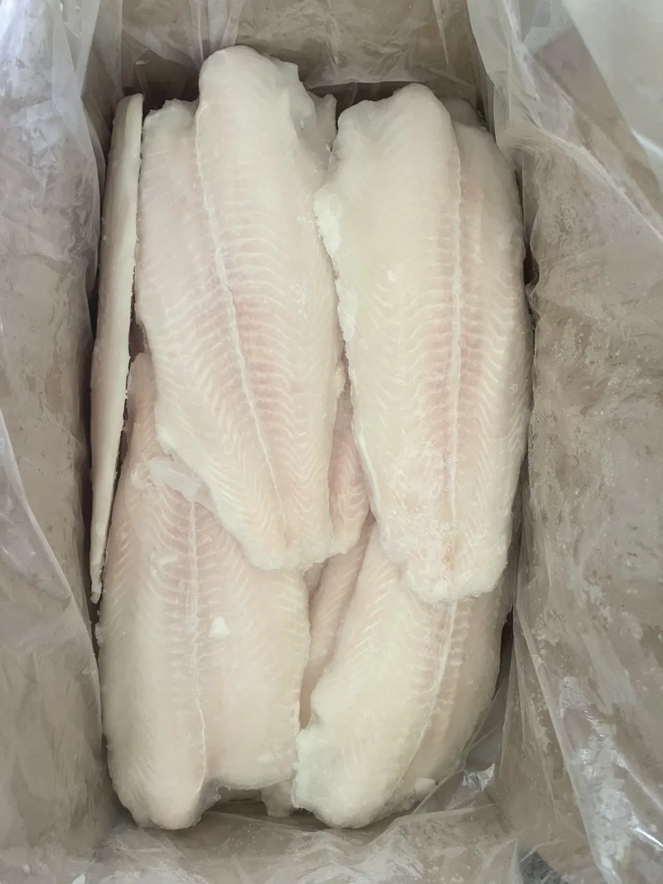 Top Quality Frozen Basa Fish/Pangasius Made From 100% Fresh Catfish in Vietnam Nutritious Seafood at the Best Price