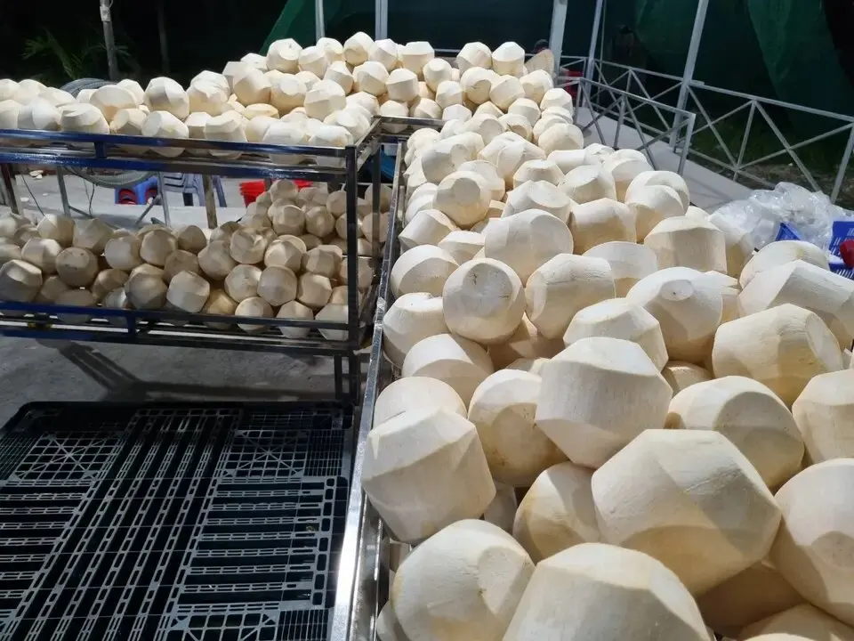 Сладкие Свежие молодые кокосы специальный продукт с высоким качеством и