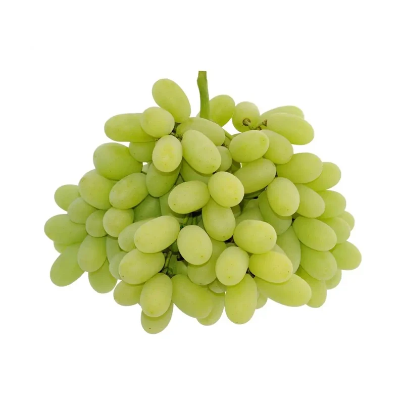 New Season Superb Delicious Fresh Green Grapes Natural Seedless Grapes At Wholesale Price