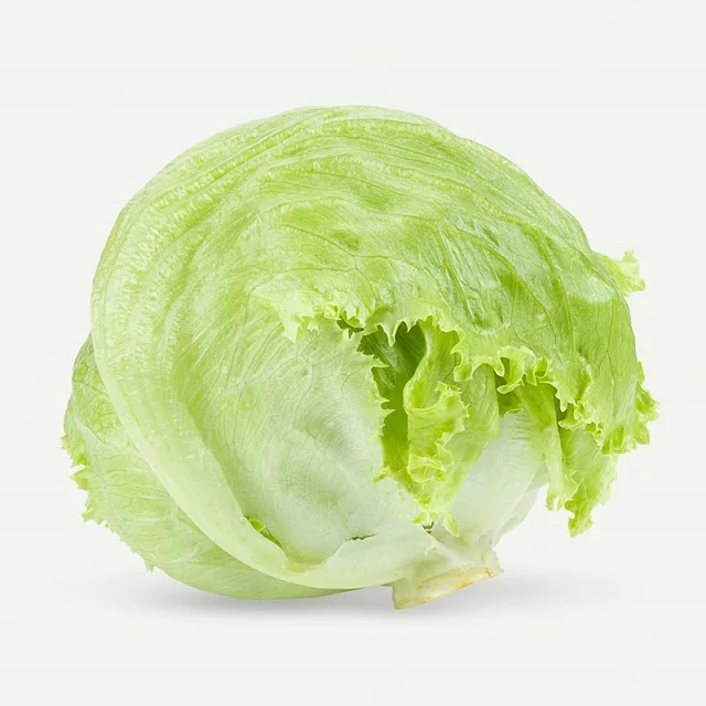 Iceberg Lettuce, New season, Egyptian origin, quality 99% Natural 100%, Color light Green, Human consumption, model number: 113