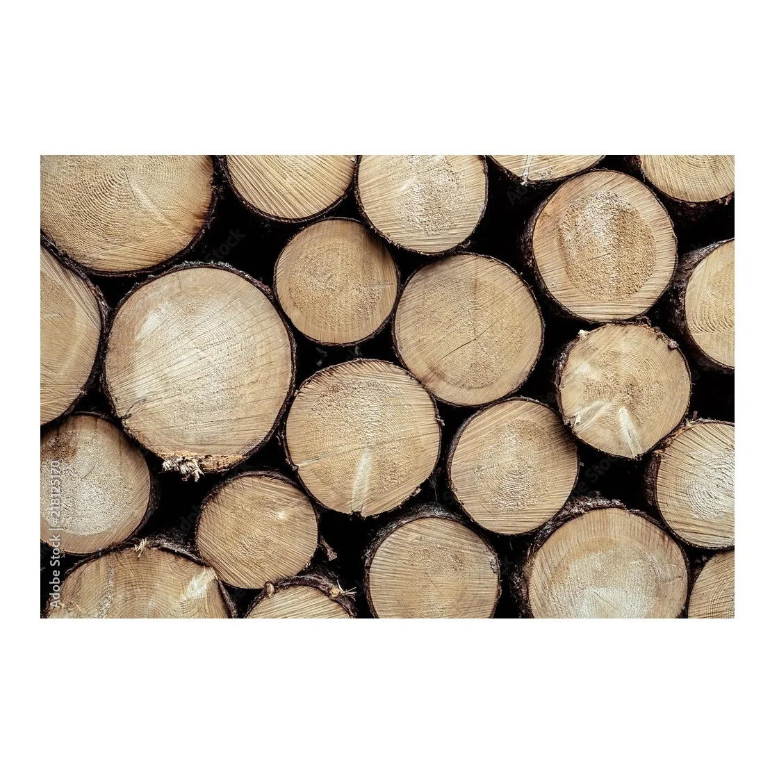 Еловые круглые бревна-прямые из леса, оптовые цены