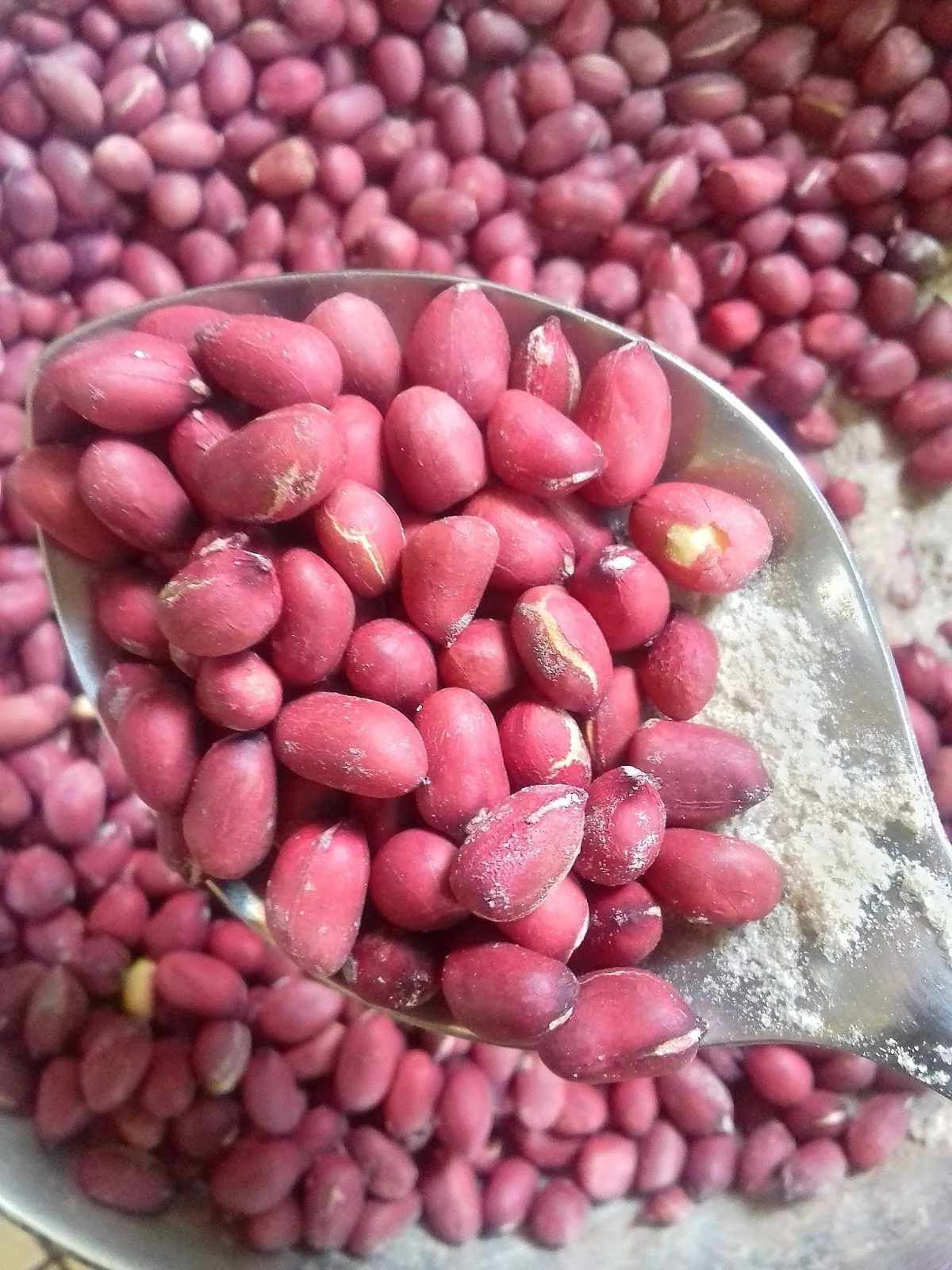 Wholesale Peanut Nuts Raw Organic Shelled Ground Peanuts Jumbo Exporters Worldwide