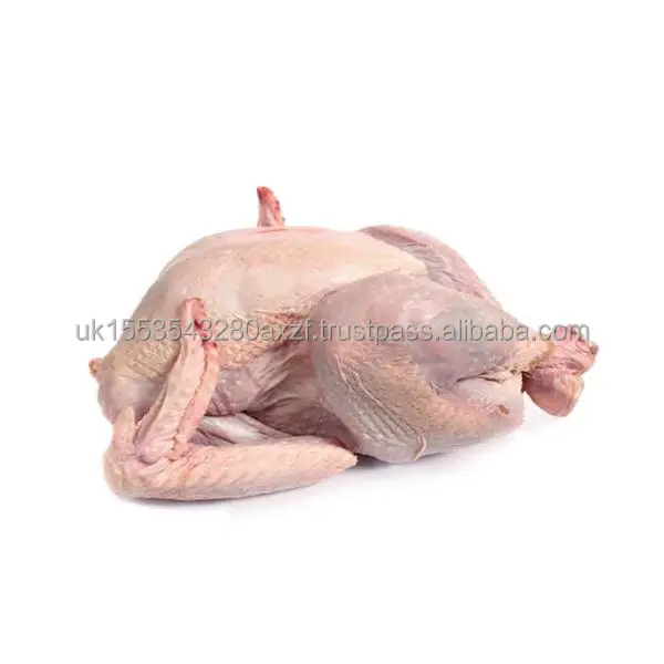 turkey meat5.jpg