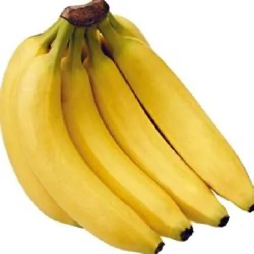 Wholesale Ecuador Bananas