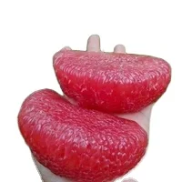 Grapefruit New Arrival - Vietnamese Green High Quality Export Standard Brix 10 13% Made in Ben Tre Vietnam