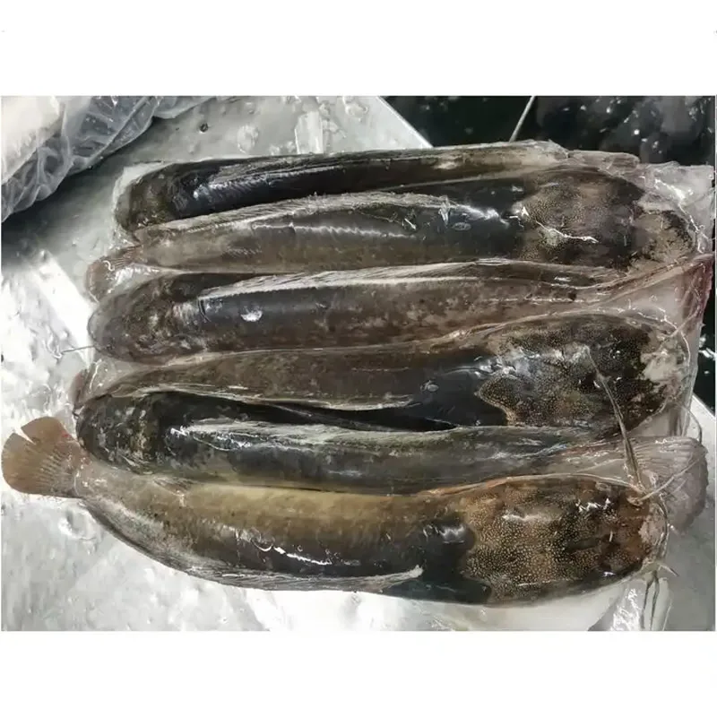 Китайские фермы экспорт рыбы цельный сом свежий круглый оптом цена на рыбу замороженного сома