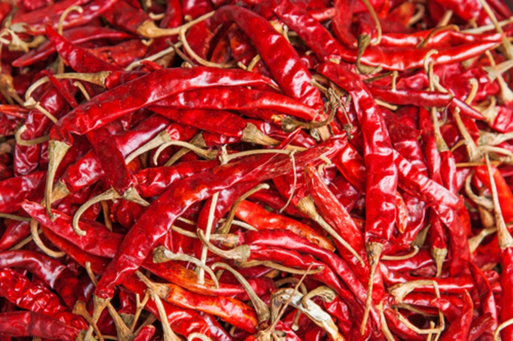 wholesale dried chilies dry red chilli pepper made in Viet Nam