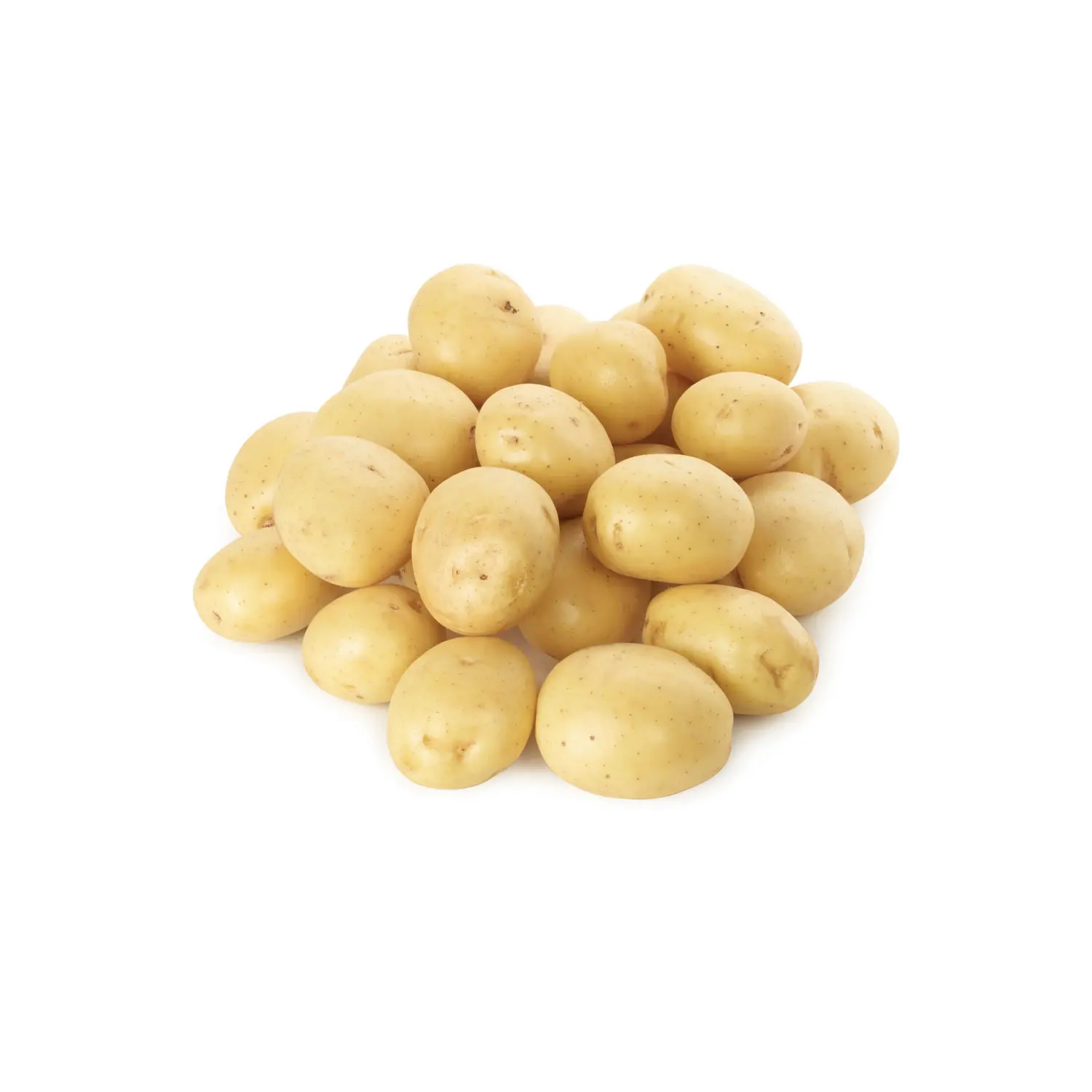 Buy Fresh Potato in Bulk at Cheap Prices High Quality Fresh Potato Ready for Fast Delivery