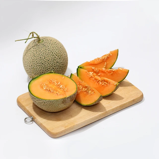 Vietnam Organic Fresh Musk Melon Good Quality Fresh Natural Sweet Melon Japanese cantaloupe Type