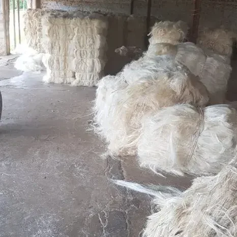 High Quality/Purity 100% Natural raw Imported Mexico natural color sisal hemp best quality Raw material