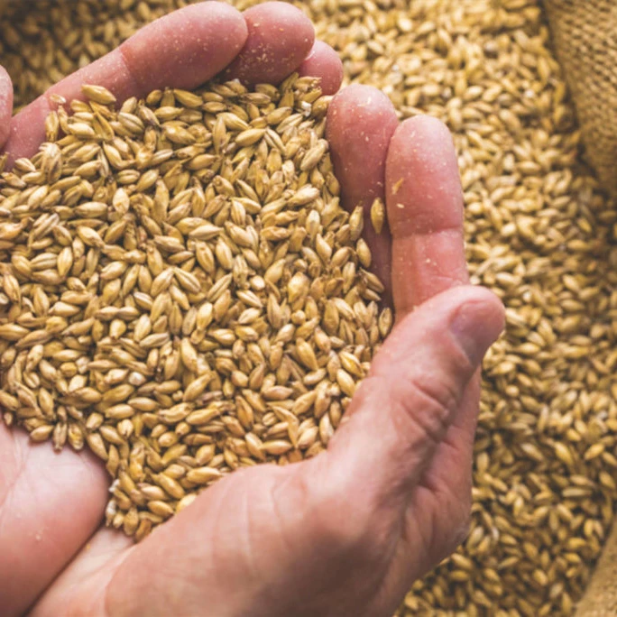 Factory Direct Supply Feed Beer Yeast Extract Animal Additive