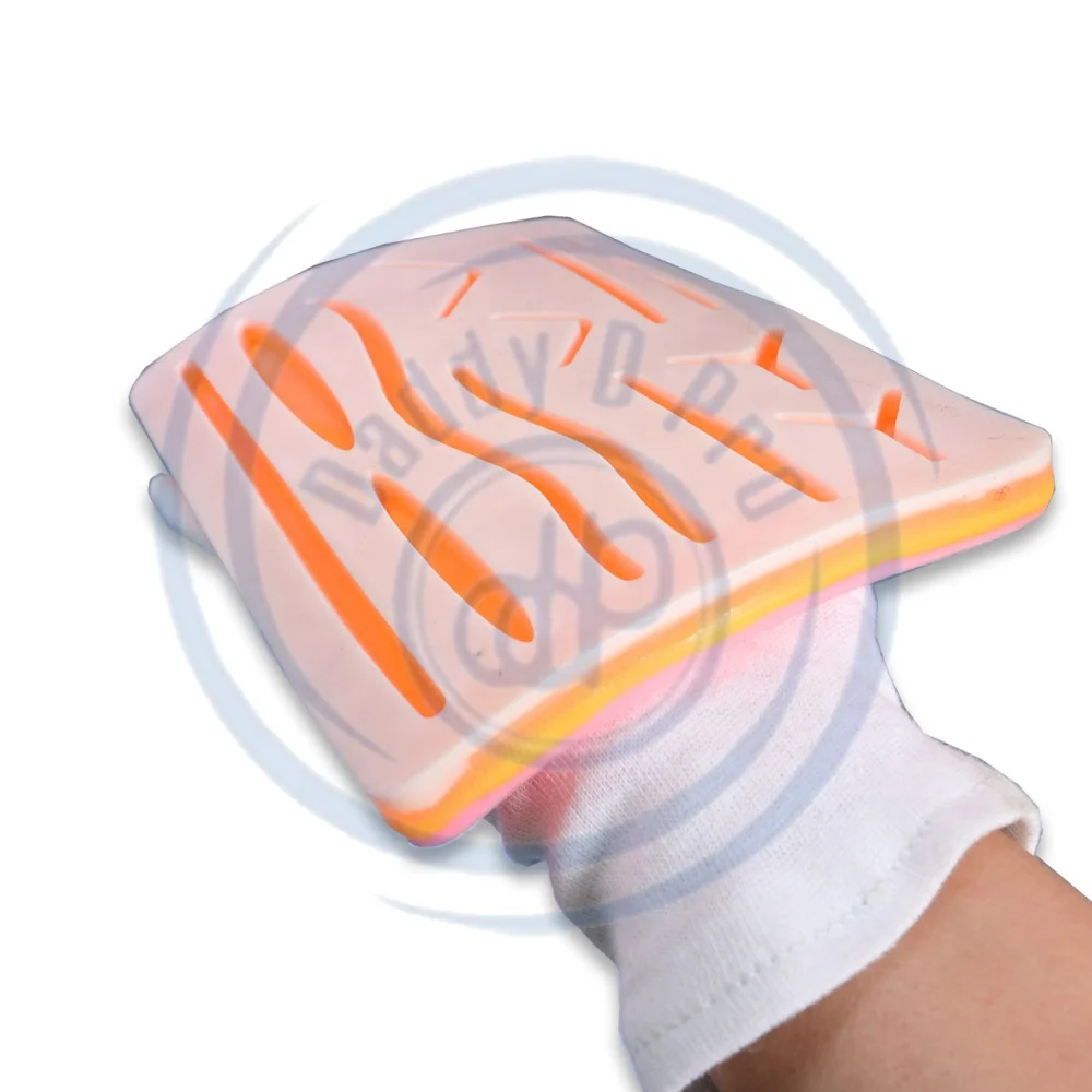Durable Silicone Skin Suture Training Model with Multiple Cut Wounds Medical Science Teaching Resource by DADDY D PRO CE ISO