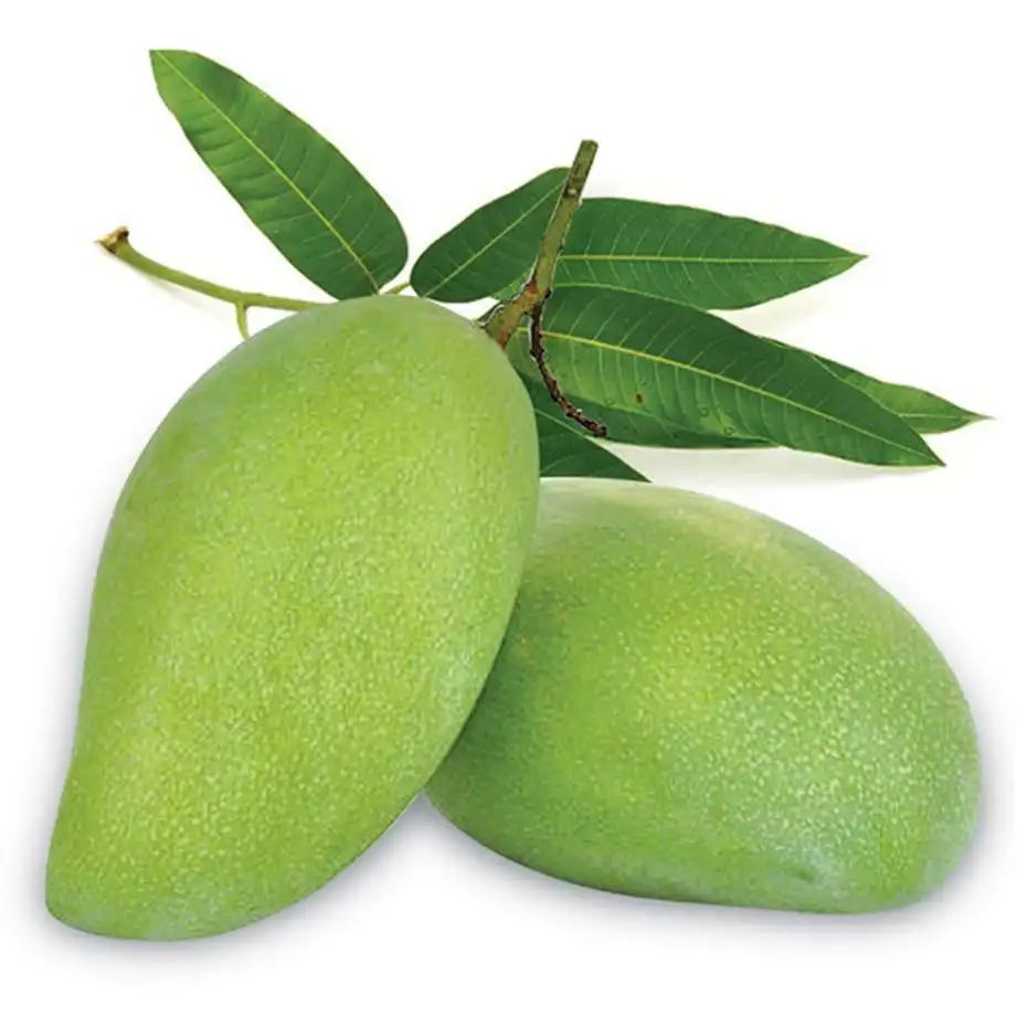 Wholesale 2023 Cheap Price Fresh Mango Fruit From Vietnam / Fresh Mango High Quality Made In Vietnam