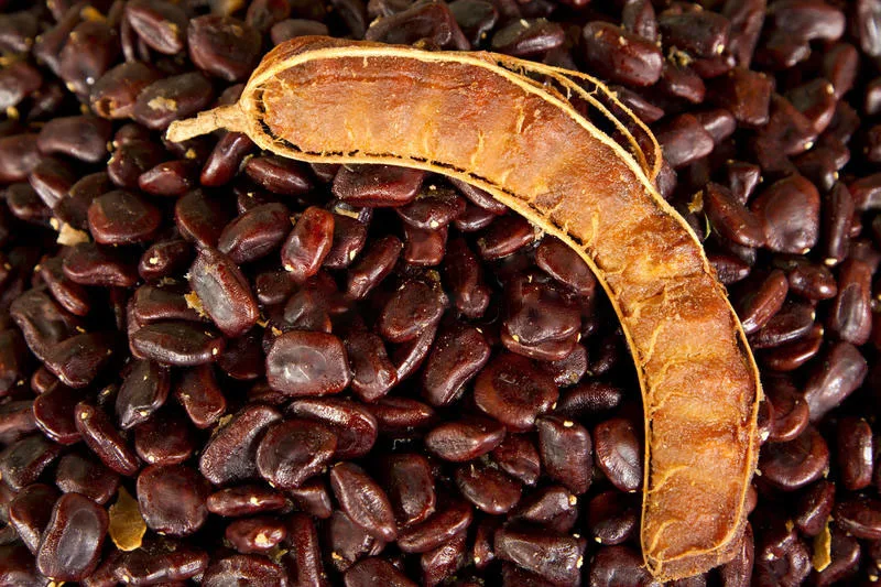 Broken Split Tamarind Seed,tamarind Seeds Thailand Turmeric AD Single Herbs & Spices Dried Raw 2022 Crop from TH;3 +66972381343