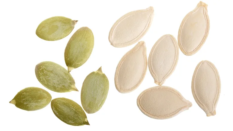 Good Quality Direct Factory Sale Supplier Manufacturer of 100% Organic Natural Fresh Pumpkin Seeds Kernel