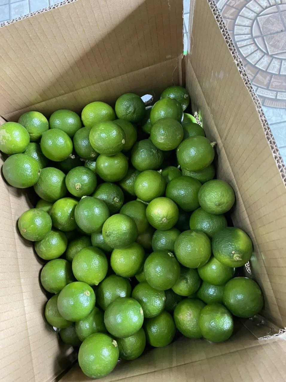 Vietnam fresh seedless lime