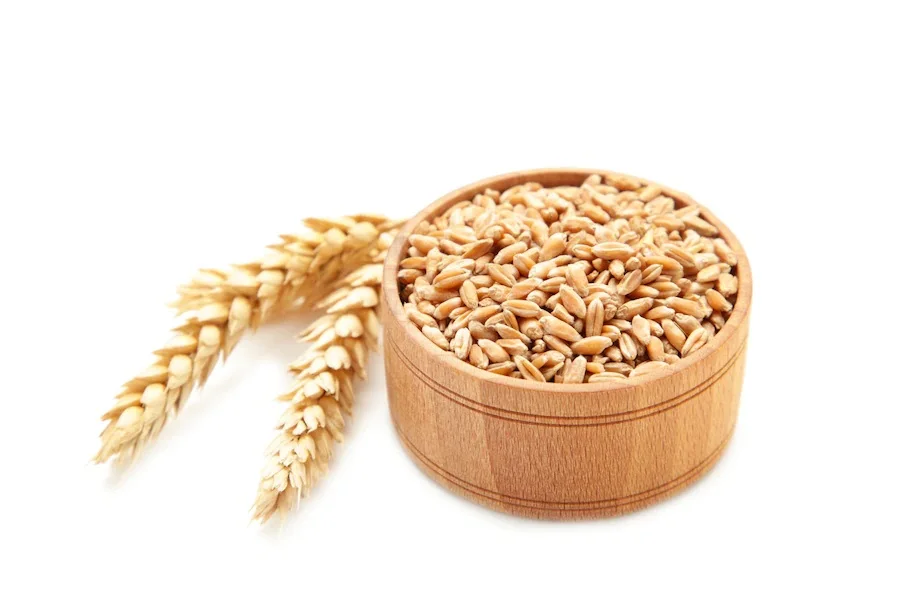 Farm Produced Organic Whole Wheat Grains at Best Market Price