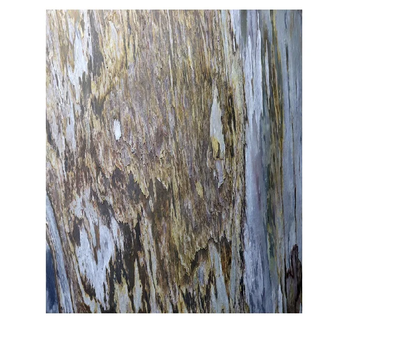 Indian Autumn Translucent flexible stone veneer Ultra thin Stone flexible nature stone wall veneer