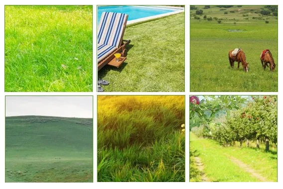 Save Time. Lawn mowers are known to be extremely efficient and are a staple when it comes to lawn equipment you need to own