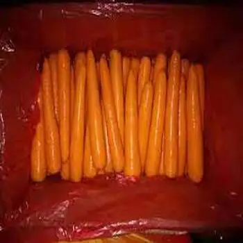 Hot sale ! Wholesales Fresh Vegetables Carrot