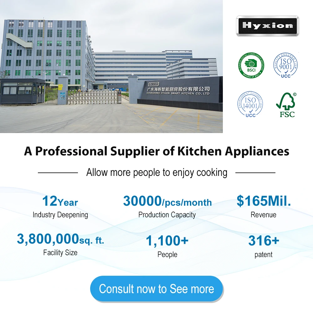 Hyxion stainless steel wood fired used pizza ovens for sale