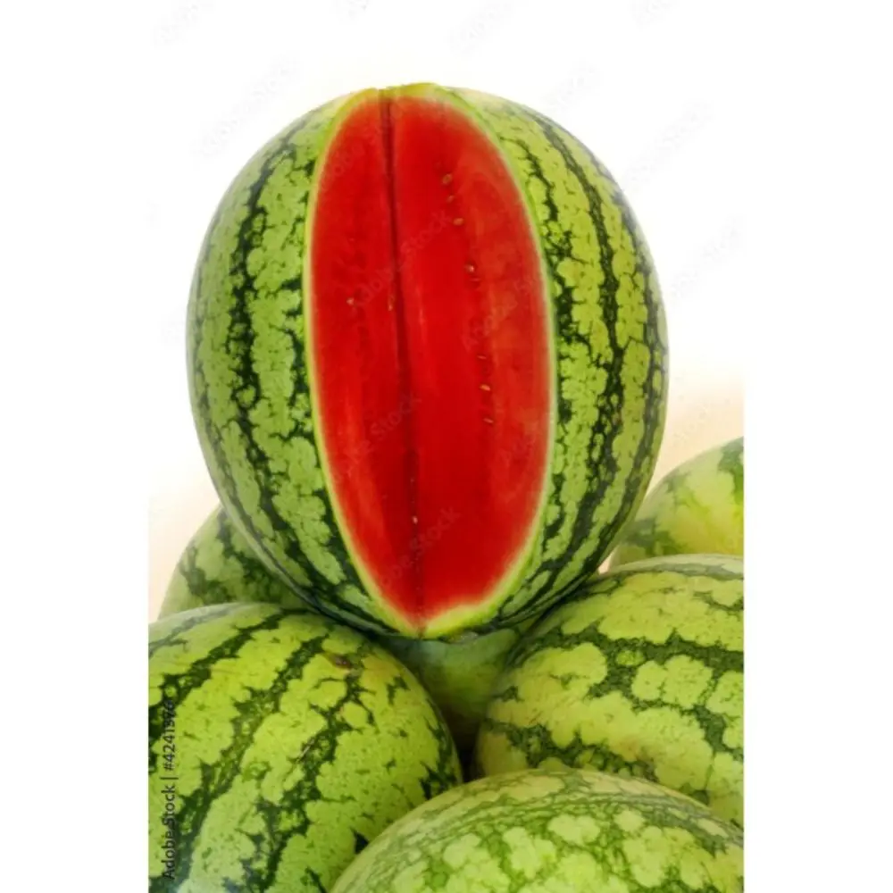 watermelon crimson sweet  OP verity in sachet packing exporting to Yemen