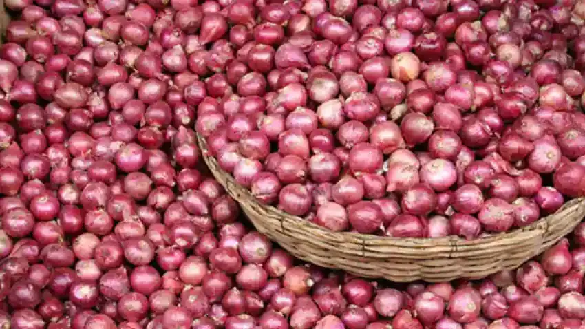 Export Quality Fresh Light Red Onions for Eatable Available at Wholesale Prices for Worldwide Export From India