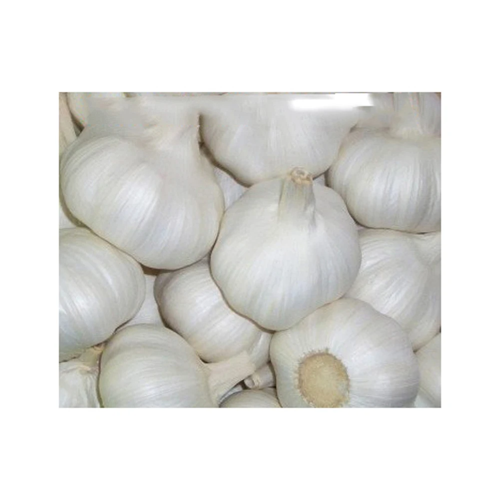 Cheap Wholesale Top Quality Fresh Peeled Garlic In Bulk