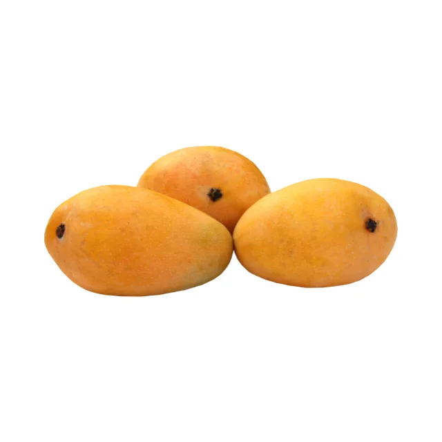 Свежий манго горячий продукт по лучшей цене во Вьетнаме