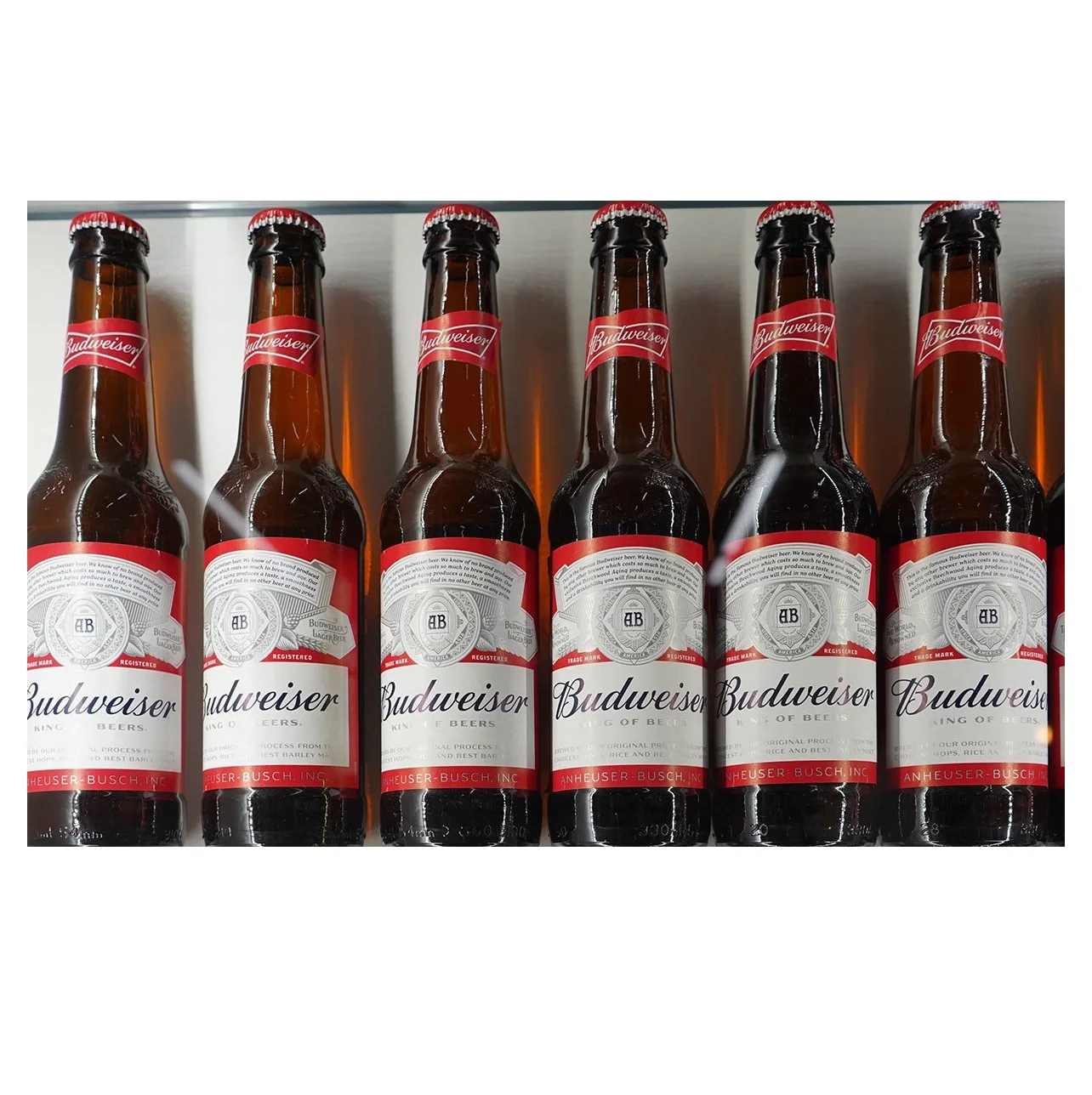 Дешевая цена для продажи пива Budweiser | Заказ онлайн/Budweiser пиво в бутылках 33cl
