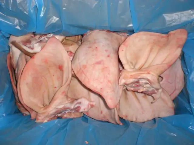 Ukraine Approved Quality Frozen Pork Ear, Tongue, Throat, Snout, Skin, Head, Tail Brazil Supplier