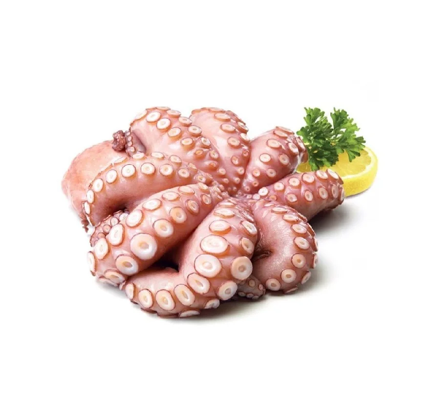 Морской замороженный Осьминог/осьминог большого размера по конкурентоспособной цене