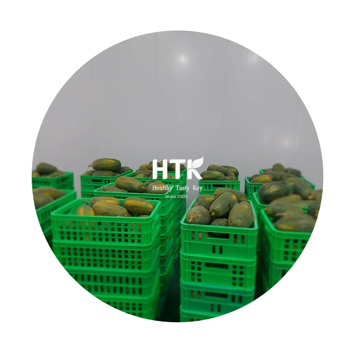 NEW 2022 CANNED Yellow Red PAPAYA IN SYRUP Made In Vietnam Factory from HTK FOOD for Food & Beverage