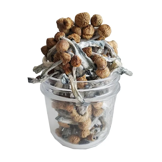 Сушеные грибы chanterelle по оптовой