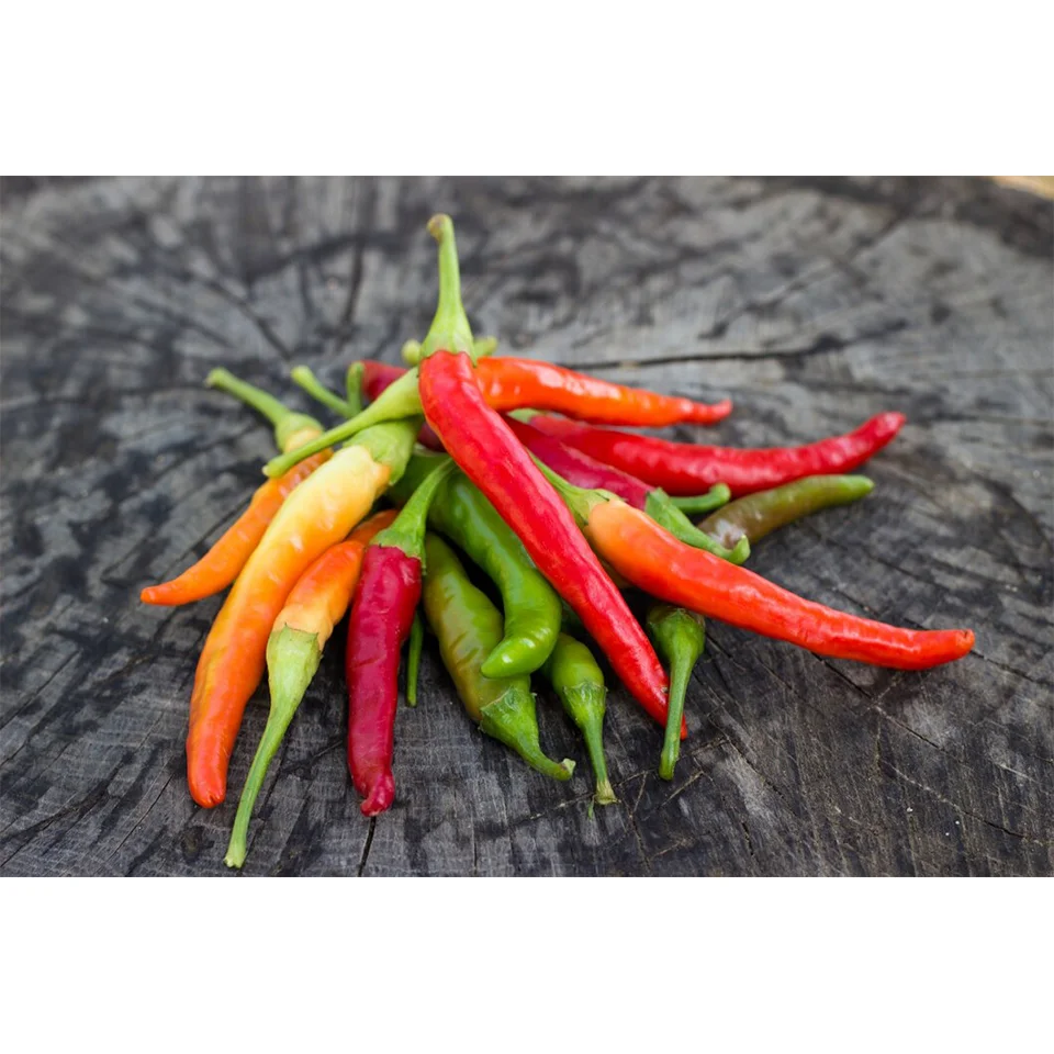 Большой запас, супер горячий свежий красный перец из Вьетнама, надежный поставщик, наши продукты изготовлены из Вьетнамского стандарта зазора