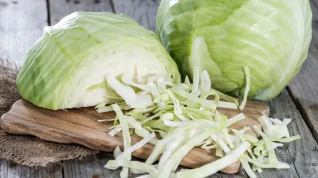 WHOLESALE FRESH GREEN CABBAGE WITH HIGH QUALITY AND BEST SELLER COMPETITIVE PRICE FROM VIETNAM