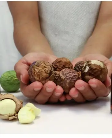 Wholesale Manufacturers and Exporters for Organic High Quality Tamanu Oil Used for Cosmetic Industry Available with Lowest Price