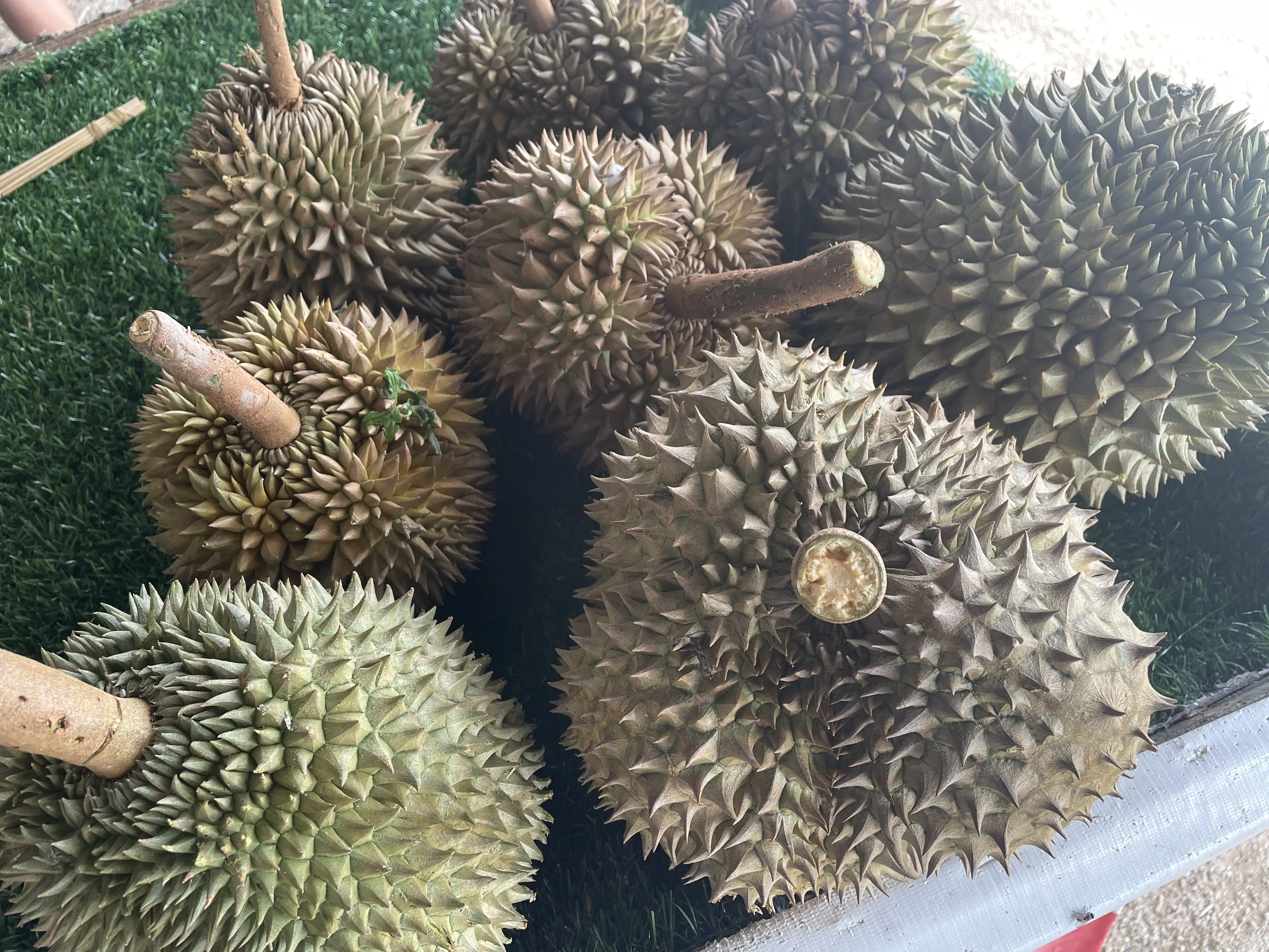 Best Fresh Durian Smelly Fruit Tropical Fruit Malaysian Thorny D197 Durian Pulp Tray Green Fruit
