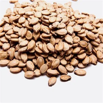 Dried Wholesale Water Melon Seeds Kernels Hulled From Black and Red Watermelon