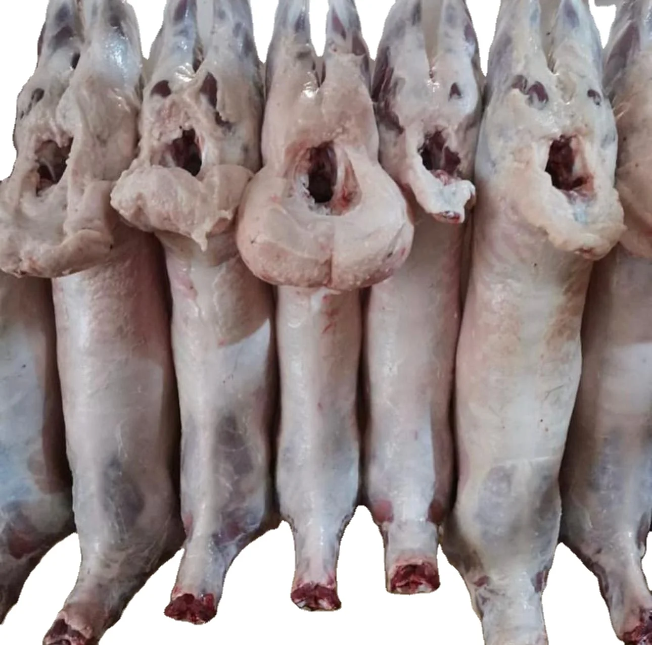 Cleaned Frozen Lamb Tail Fat Lamb Tail Fat for sale  Frozen Lamb Tail Fat  Halal Lamb Tail Fat (11000006935842)