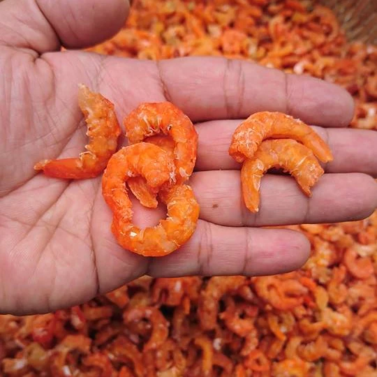 Wholesale OEM Factory Freeze Dried Shrimp Raw Frozen Shrimp Vannamei Shrimp Export High Quality Low MOQ From Vietnam