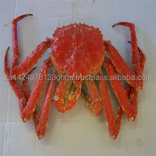 russian king crab.jpg