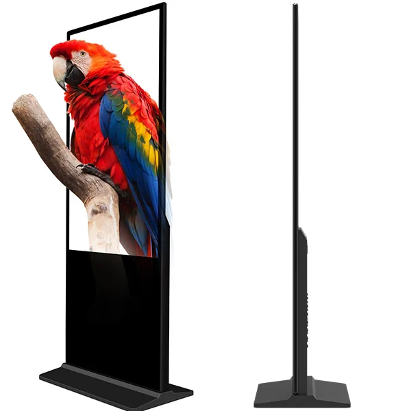 Floor Stand Touch 4k Screen Kiosk 55 Inch Indoor Potable Lcd Signage Menu Amplifier Interactive Digital Board For Classroom