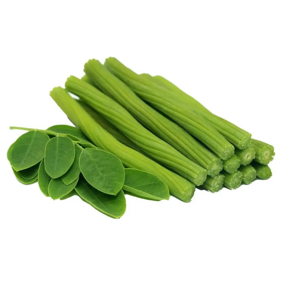 Fresh Green Drumstick Vegetable for export, Edible Fresh Drumstick Vegetable wholesale supply UK