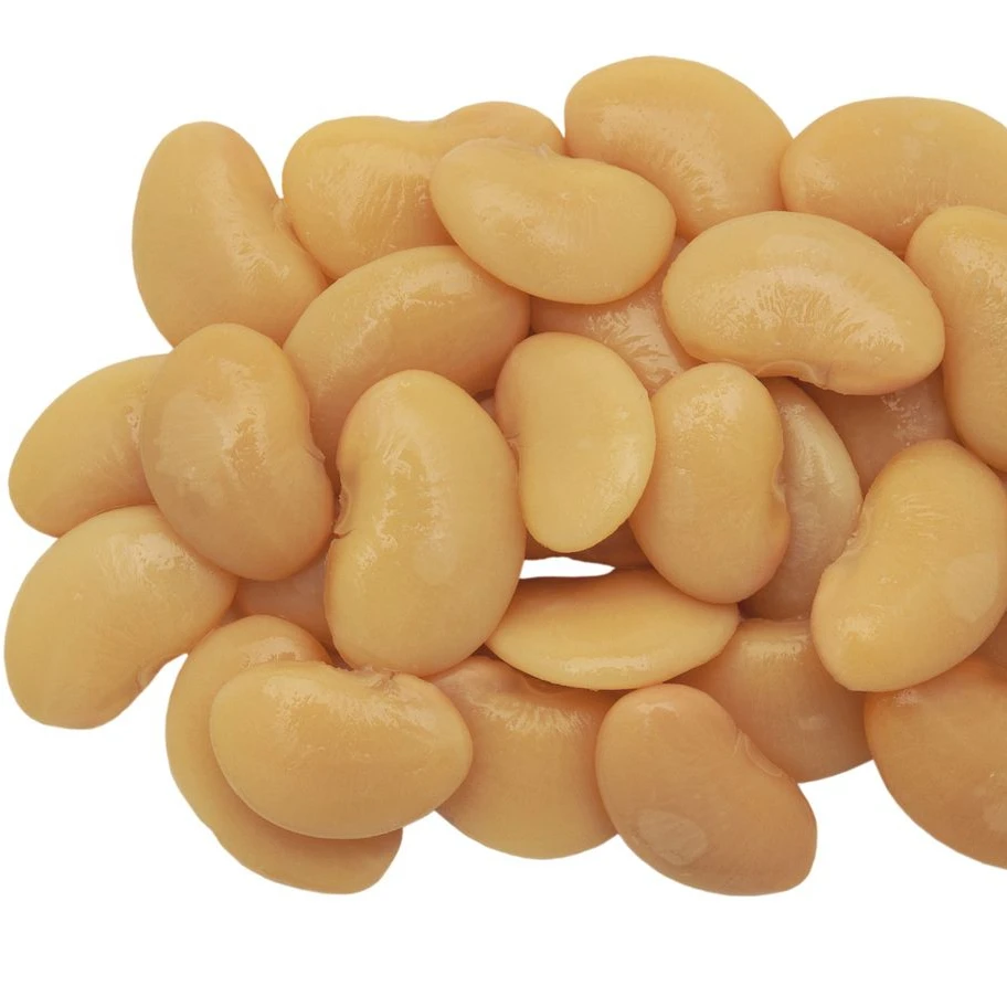 ALDERA Natural Non Gmo Canned White Kidney Beans Cannellini Beans from Turkish Manufacturer