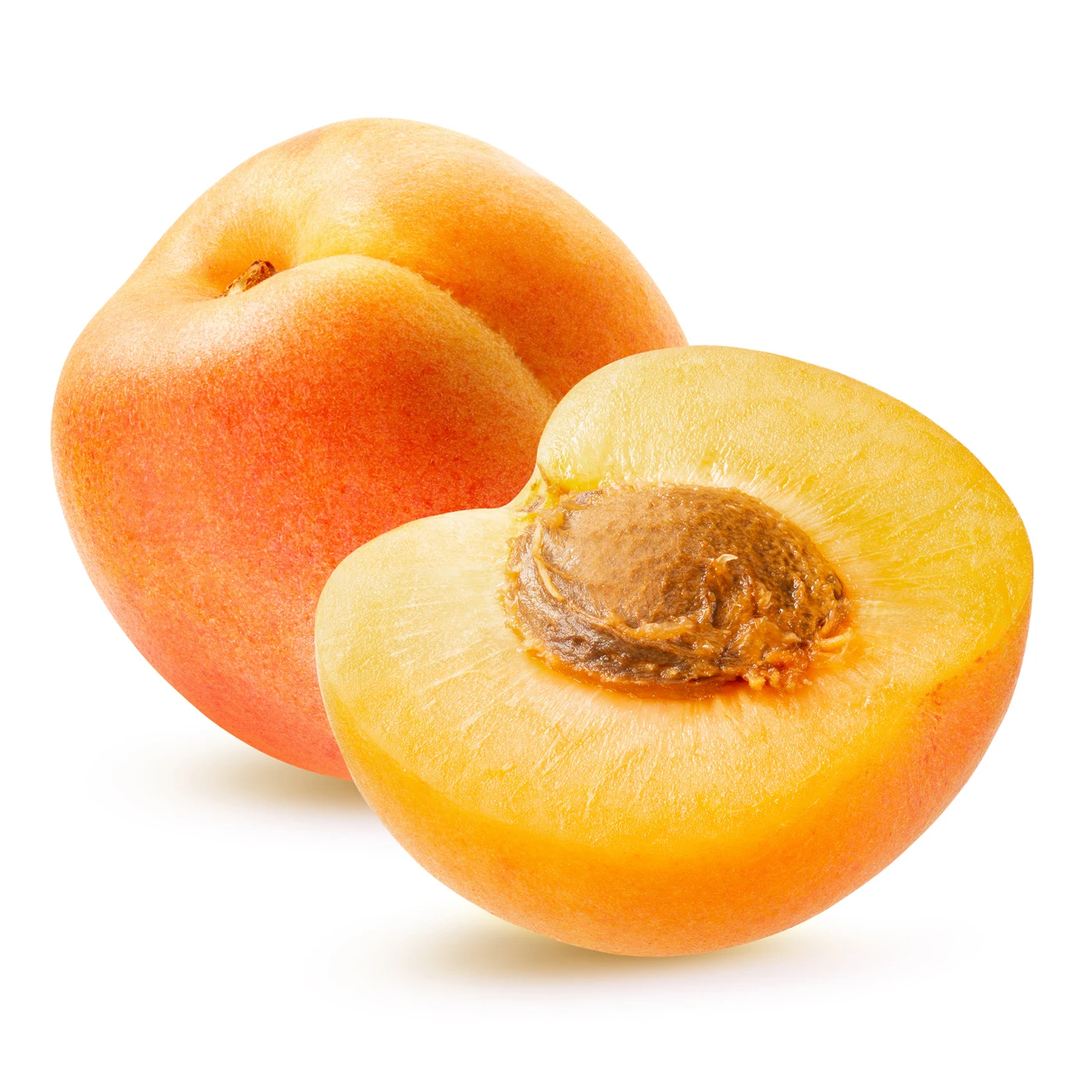 Top Quality Fresh Apricot, Organic Fresh Apricot, Fresh Apricot Fruit Supplier